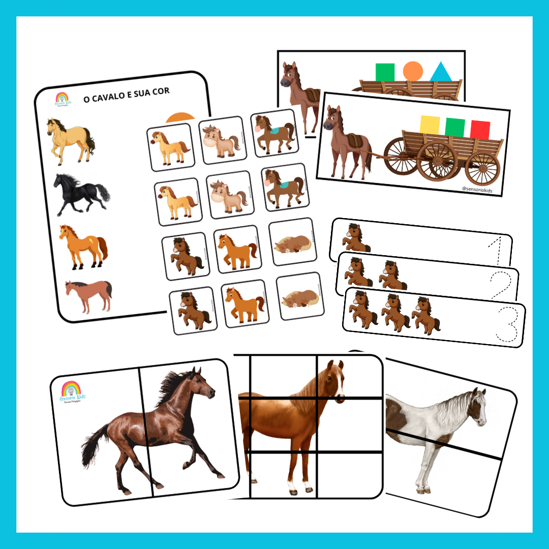 COMBO CAVALOS